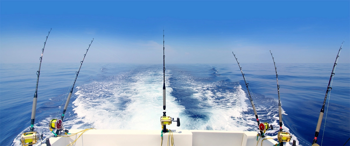 Accessoires de cuisine Soldes -Accessoires de cuisine Soldes 34564