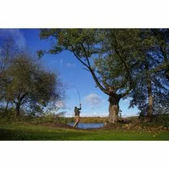 Shimano Carp Tribal TX Ultra A 13ft 3.50LB Intensité -Accessoires de cuisine Soldes DSC03670 550x550w